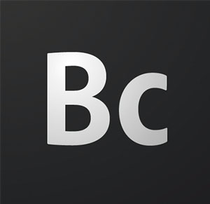 Adobe Business Catalyst logo