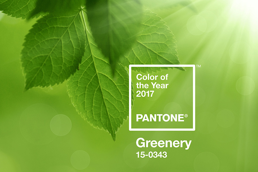 Pantone color of the year 2017 greenery