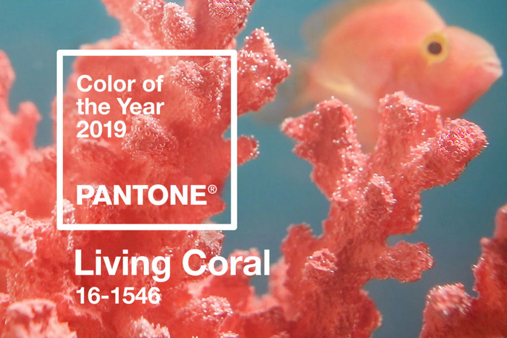 Pantone colour of the year 2019 Living Coral